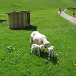 Mountain Hostel *