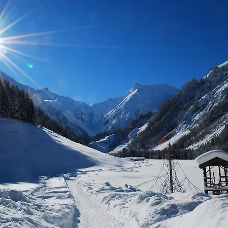 Auberge de jeunesse Mountain