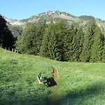 Albergue Mountain