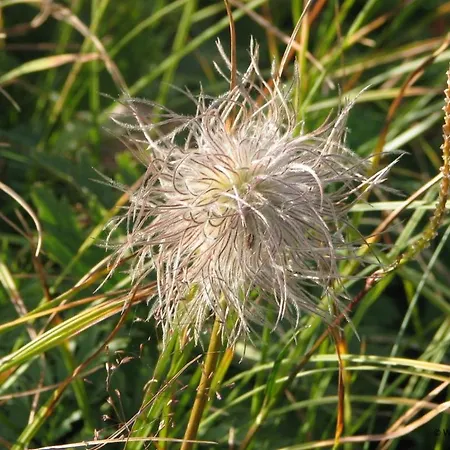 Хостел Mountain