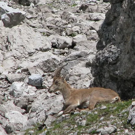 Ostello Mountain Oberstdorf
